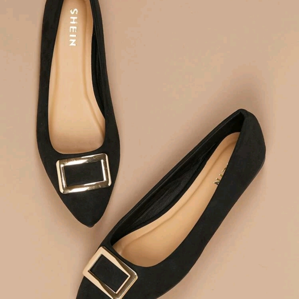 NWT Pointed Toe Flats